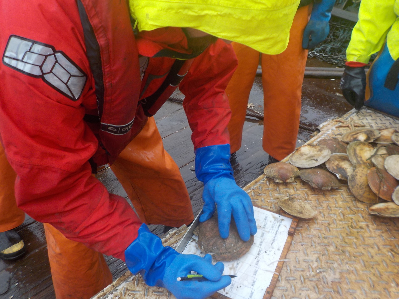 Image: NOAA Fisheries Publishes U.S. National Bycatch Report
