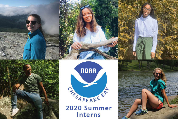 Image: Meet NOAA Chesapeake Bay Office 2020 Summer Interns