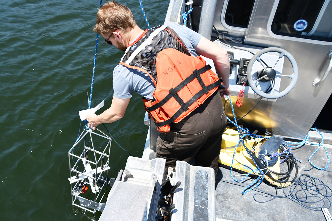 Image: NOAA Habitat Science Plays Important Roles in Oyster Reef Restoration