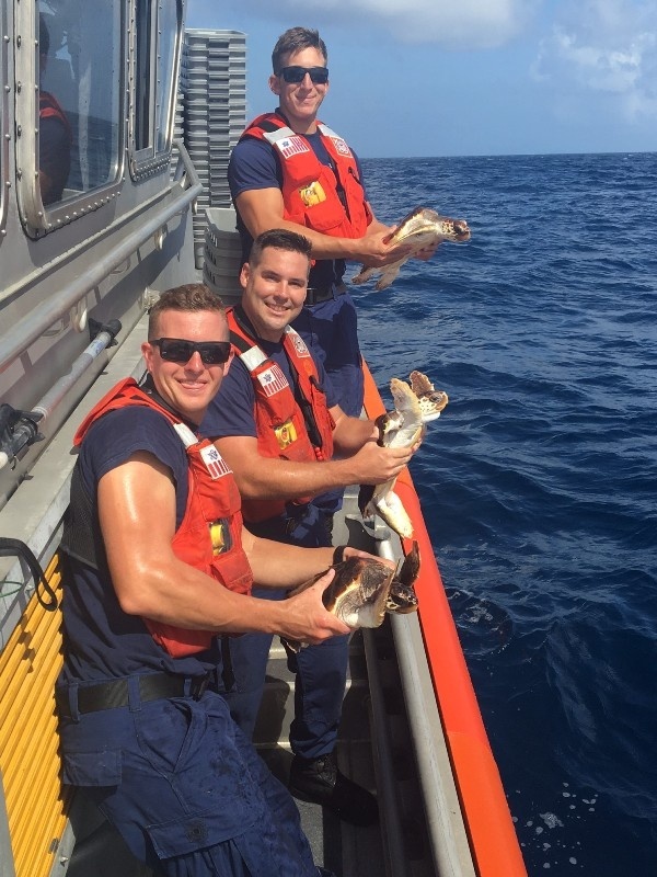 Image: NOAA Releases More Than 200 Florida Loggerhead Turtles Into the Wild As Fisheries Scientists Complete Annual Turtle Excluder Device Testing