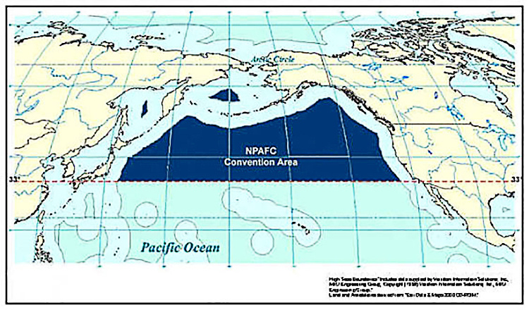 Image: Bering Arctic and Subarctic Integrated Survey