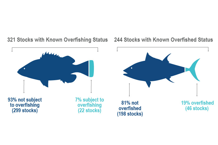 Image: Recent U.S. Fishing Years Marked by Economic Gains, Milestones in Sustainability