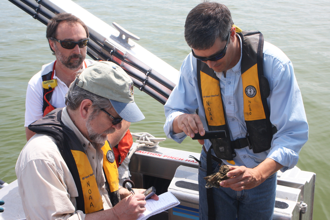 Image: Interview with a Habitat: Oyster Reef