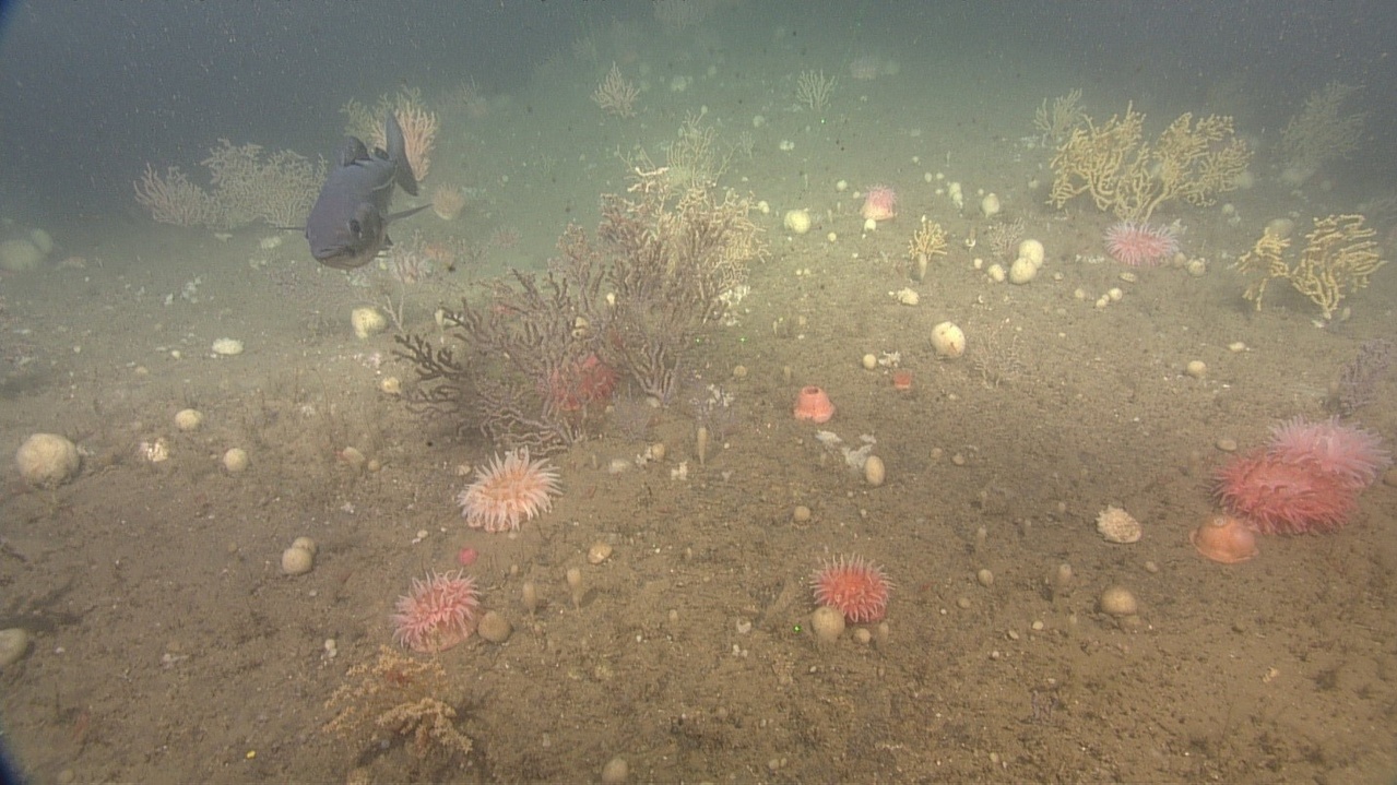 Image: Towing the Line: Exploring Deepwater Communities Along the U.S.-Canada Boundary