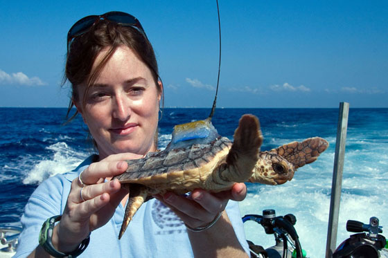 Image: The Keratin Connection: A Breakthrough in Sea Turtle Research
