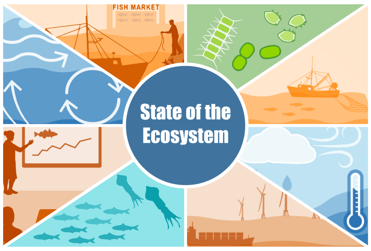 Image: State of the Ecosystem Reports for the Northeast U.S. Shelf