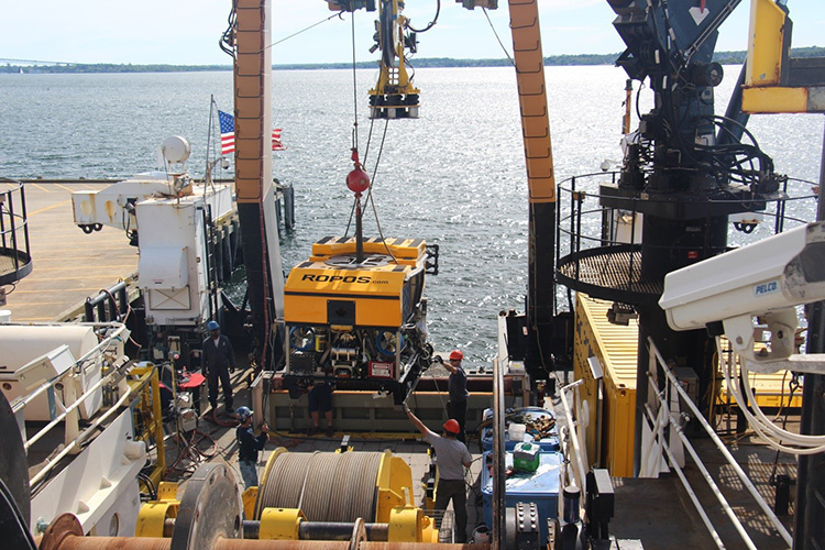 Image: Northern Neighbors: Exploring Deepwater Communities