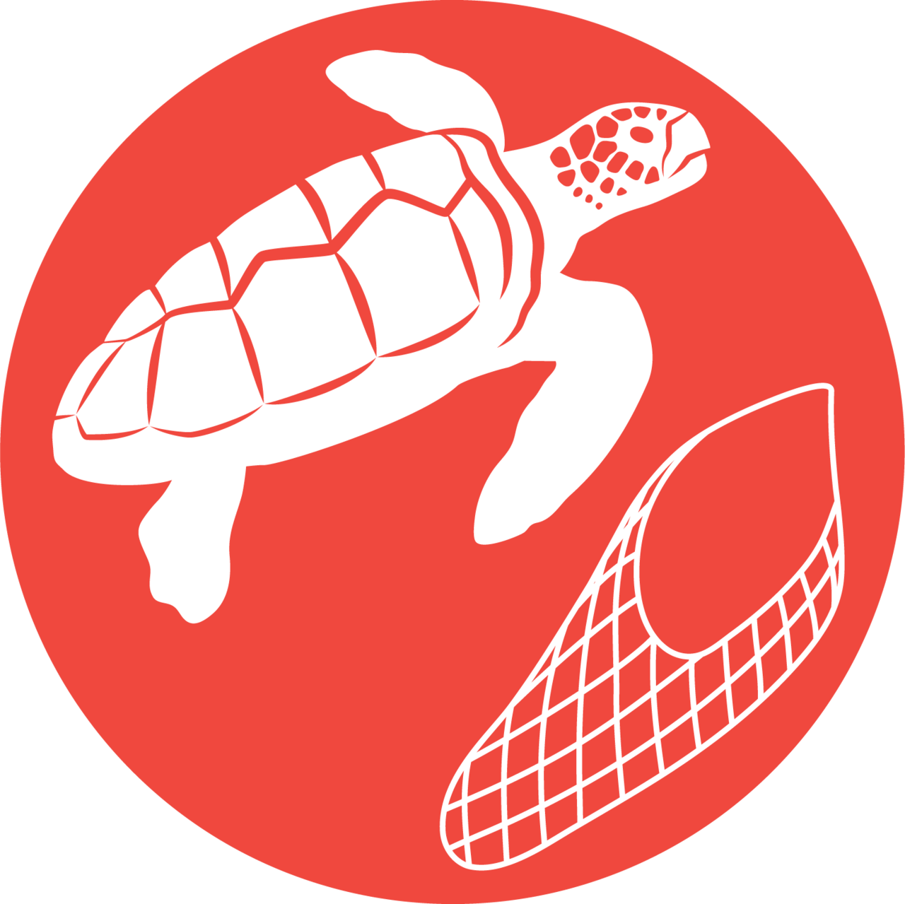 Image: Celebrating Sea Turtle Week 2018
