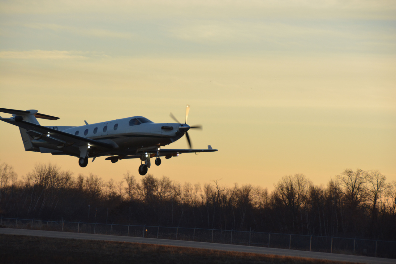 Image: Pilots Help Turtles Take Flight