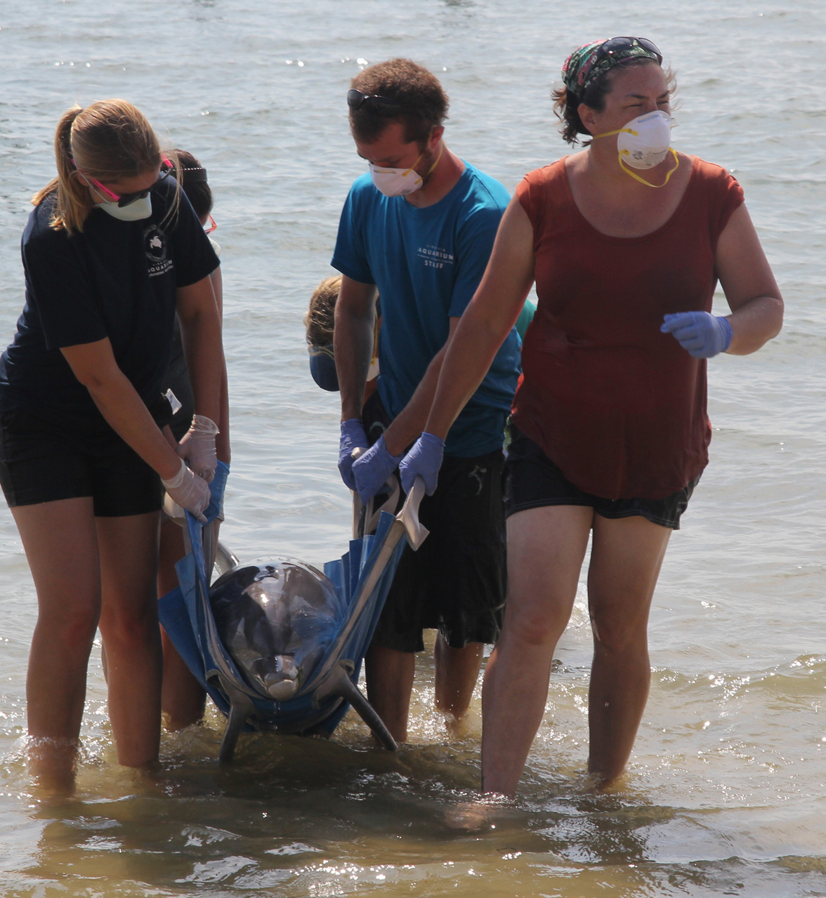 Image: Developing Marine Mammal Response Capacity at Home and Abroad