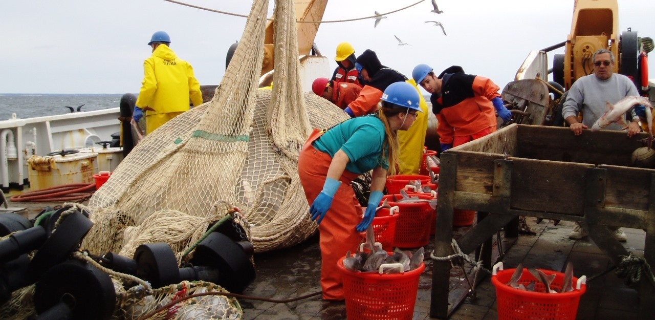 Image: Population and Ecosystems Monitoring and Analysis in the Northeast