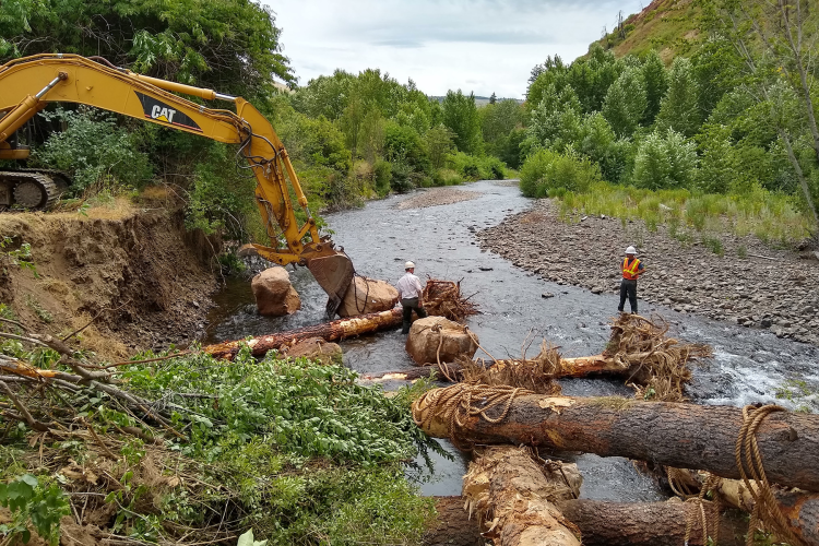 workers use large equipment to place logs in a river