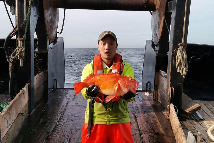 An observer on deck of a ship during a pink shrimp trawl