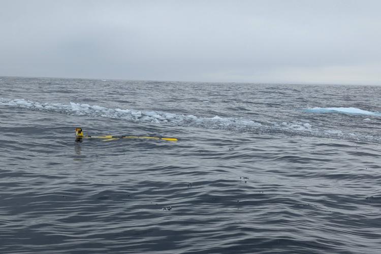 A yellow autonomous underwater glider floats on the ocean surface. Several chunks of ice float behind and next to the glider. The water is dark grey and the sky is cloudy.