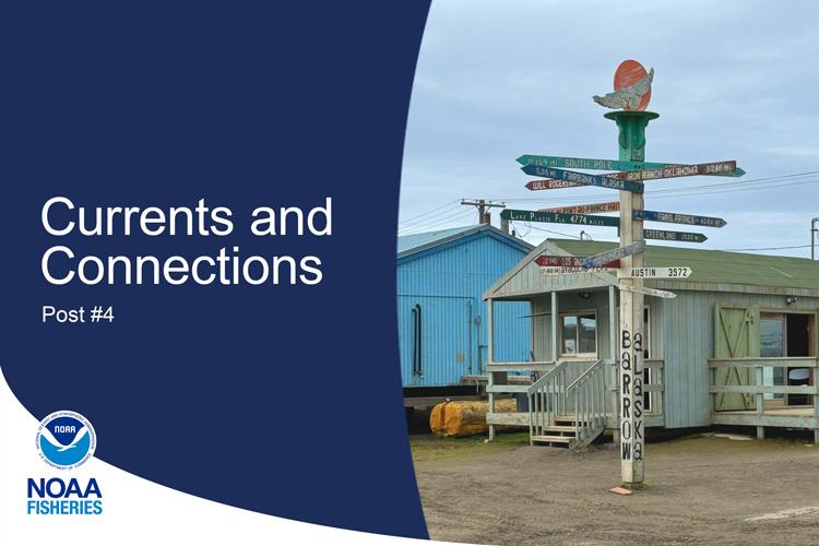 Text showing blog name next to image of directional sign post in Alaska.