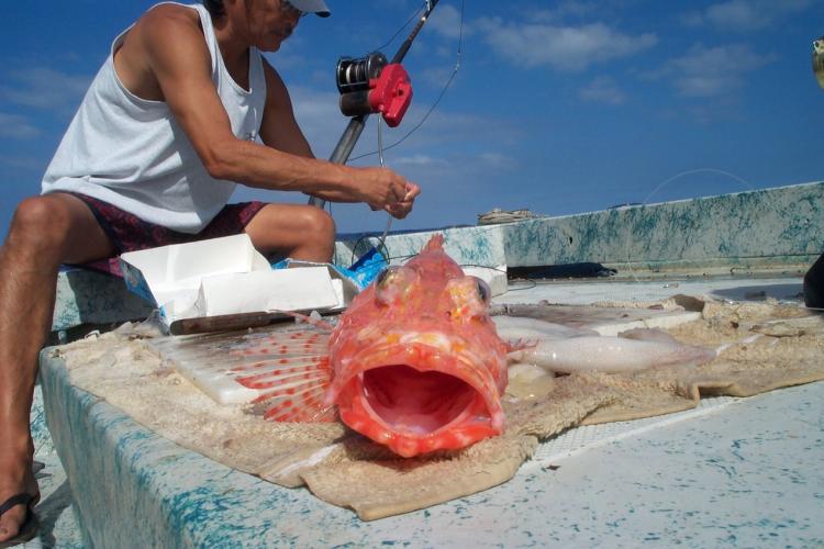 Hawaii's Bottomfish Fishermen Catch Their Fish, and Eat It Too
