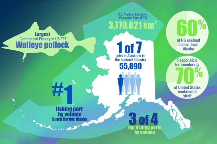 Graphic showing scope of mission
