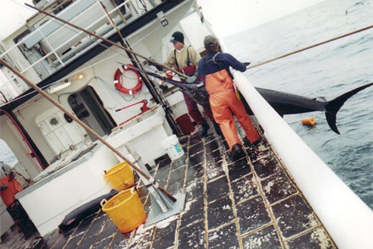750x500-swordfish-sf.jpg