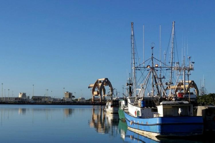 A fleet of loneline vessels in a harbor. 