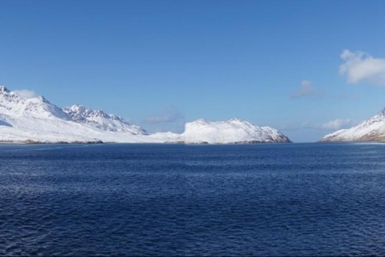 Ocean with snow covered mountains and blue sky