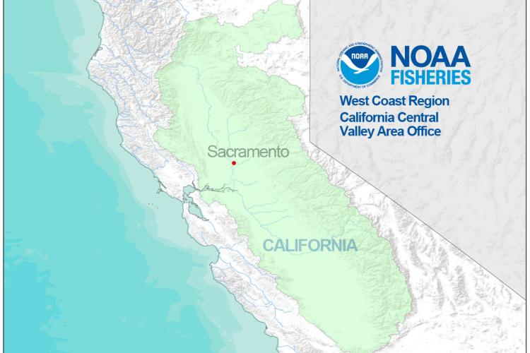 California Cental Valley Office.jpg
