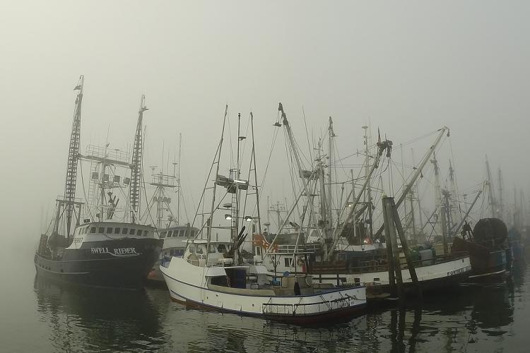 Commercial fishing boats at a harbor at Westport, Washington.jpg