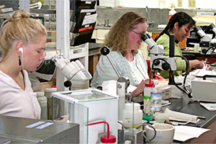 Scientists working with microscopes and other equipment 