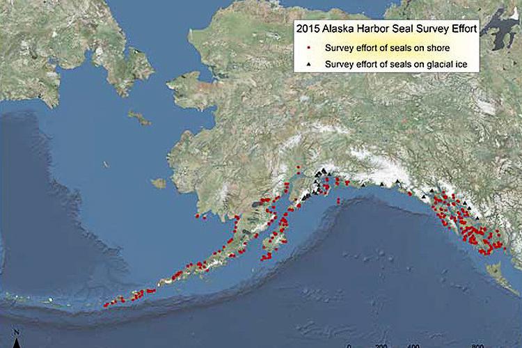 Map of Alaska showing the survey effort of seals on shore with red dots and survey effort of seals on glacial Ice with black triangles.