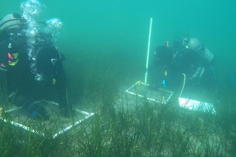 2 underwater divers conducting research