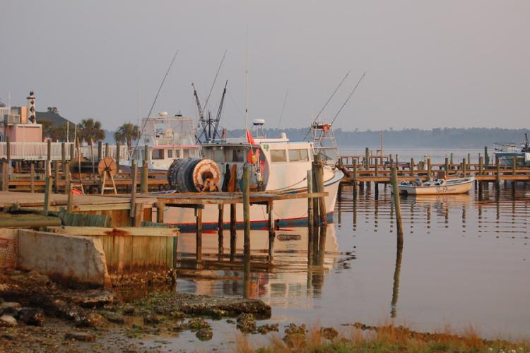 SouthAtlantic_Scott Baker NCSeaGrant.jpg