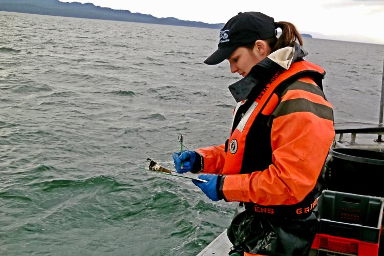 Scientist writing on a boat with mountains in background. 