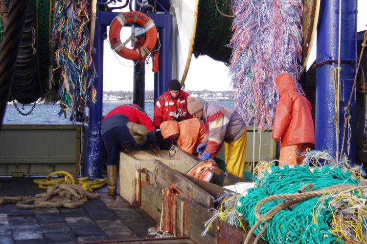 Crew on deck of the FV Endurance, working on the gear.