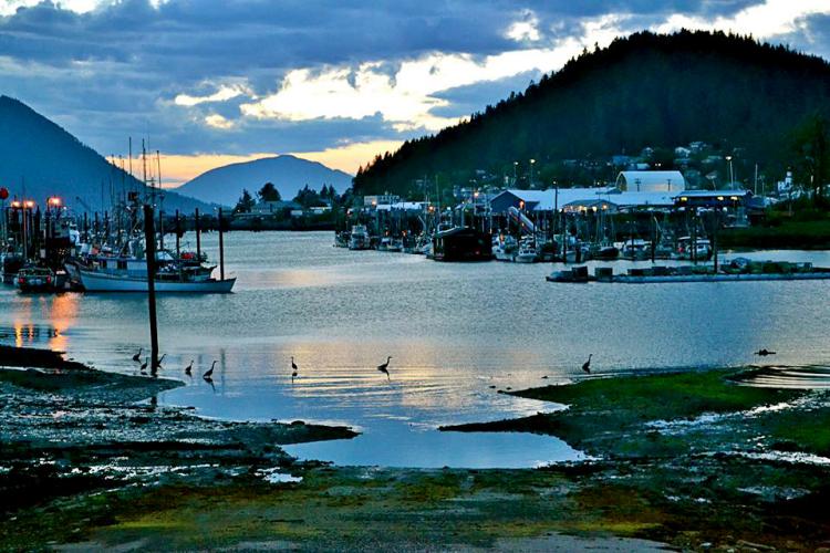 Wrangell Harbor.jpg
