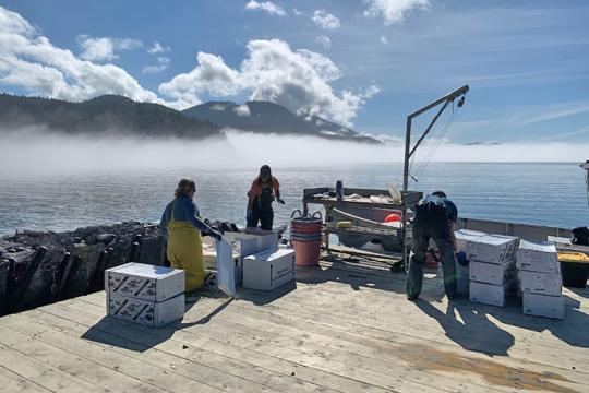 Monitoring work at Salty Lady Seafood farm. Credit: NOAA Fisheries.