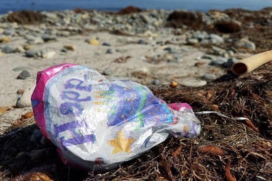 A deflated foil balloon on a beach sitting on a bed of seaweeds