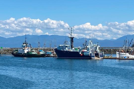 Vessels in Neah Bay
