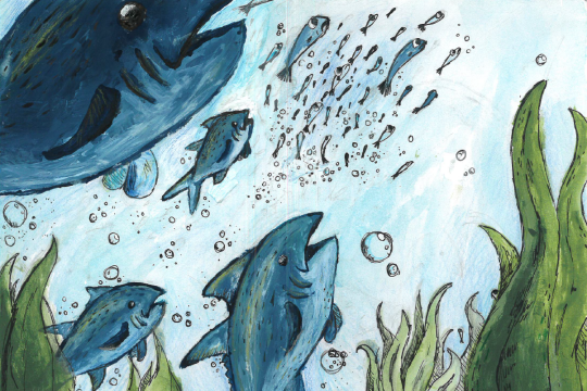 Student drawing of tunas swimming.