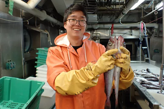 Nick is wearing a heavy orange rain coat and long yellow gloves. He holds up two pollock fish vertically, comparing their lengths to one another. We see more fish on a sorting table in the background.