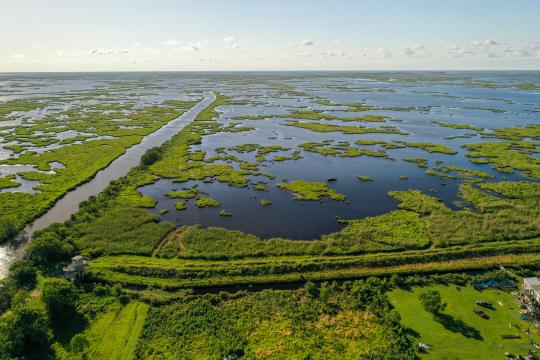 Green marsh with pockets of blue water to be restored.