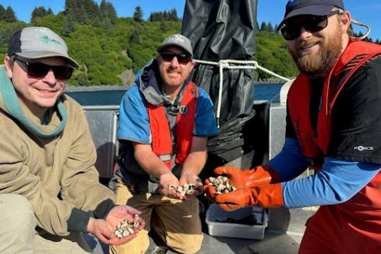 Researchers holding experimental oysters