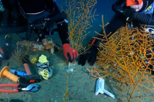 Two divers in technical gear securing an orange branching coral in place on the seafloor