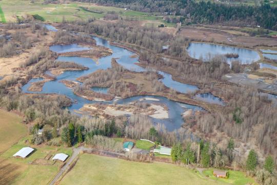 Aerial view of the Ridgefield Pits in the foreground on the East Fork Lewis River before restoration. The Daybreak Pits can also be seen and are located adjacent to the Ridgefield Pits. The project will focus on restoring the nine Ridgefield Pits.  Credit: Lower Columbia Estuary Partnership