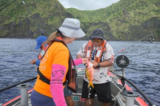 Three people work together on a small vessel floating in dark blue water, with a lush, green island rising in the background. One of them prepares to fish as part of a research survey while another other works to remove a hook from a colorful fish that’s already been caught.