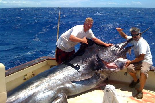 Two men on the deck of a boat next to a grander blue marlin. 
