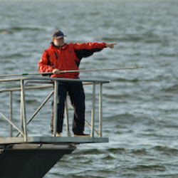Scott Benson directing vessel toward leatherback turtle.