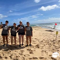 Hawaiʻi Marine Animal Response staff and volunteers