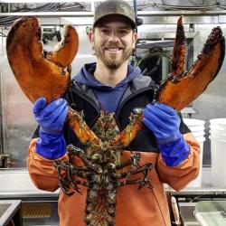 Adam Poquette holding a lobster. 