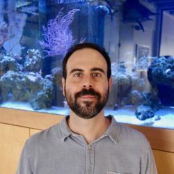 A smiling man with short dark hair and a full dark beard