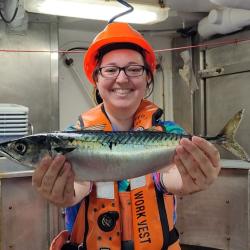 Woman in orange hard hat and safety vest standing in ship laboratory holding a mackerel fish.