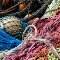 Research Fishing Gear Program-bio.jpg